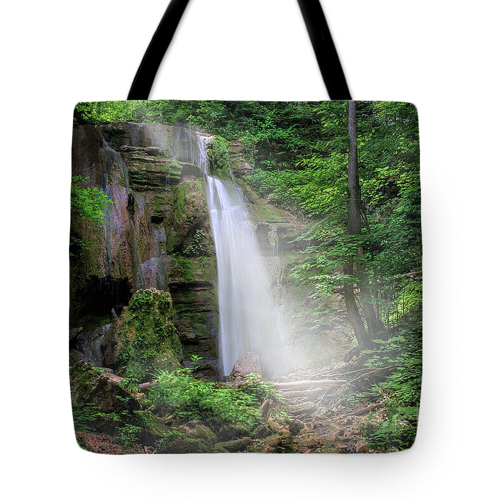 Hollow Tote Bag featuring the photograph Tank Hollow Falls by Shelia Hunt