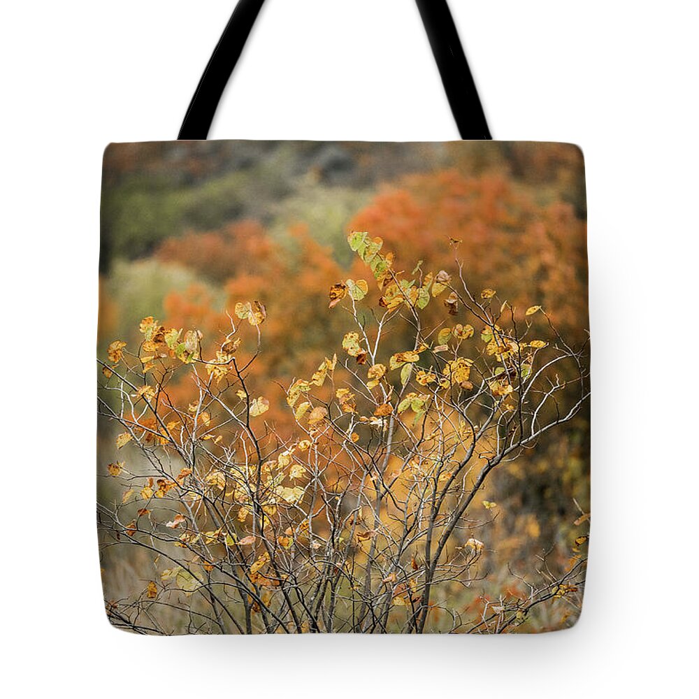 Trees Tote Bag featuring the photograph Tapestry by Iris Greenwell