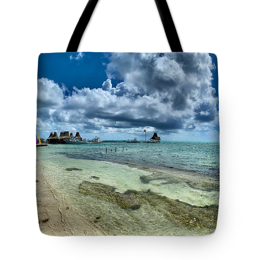 Caribbean Tote Bag featuring the photograph Tarpon Time by Devin Wilson