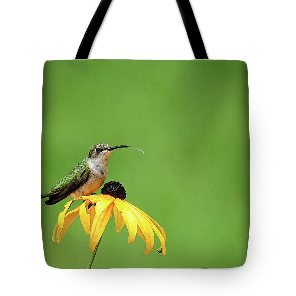 Archilochus Colubris Tote Bag featuring the photograph Tasting the Rain by Robert Carter