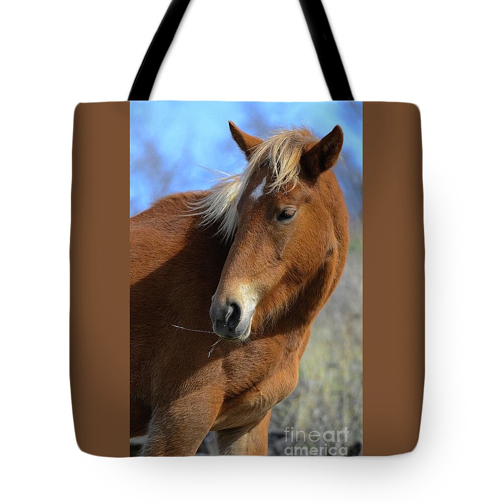 Salt River Wild Horse Tote Bag featuring the digital art Tasty by Tammy Keyes