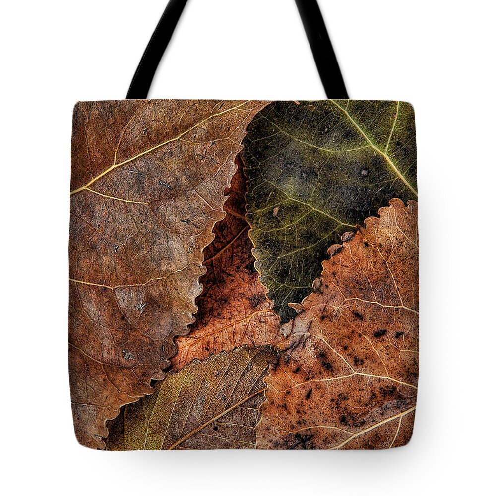Autumn Tote Bag featuring the photograph Tattered and Worn by Steve Sullivan