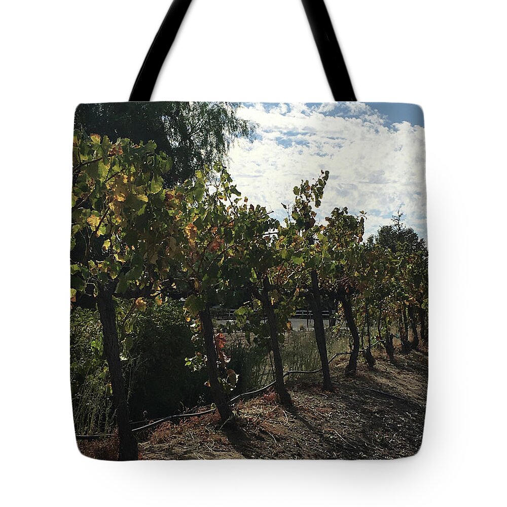 Grapevines Tote Bag featuring the photograph Temecula Vines by Roxy Rich
