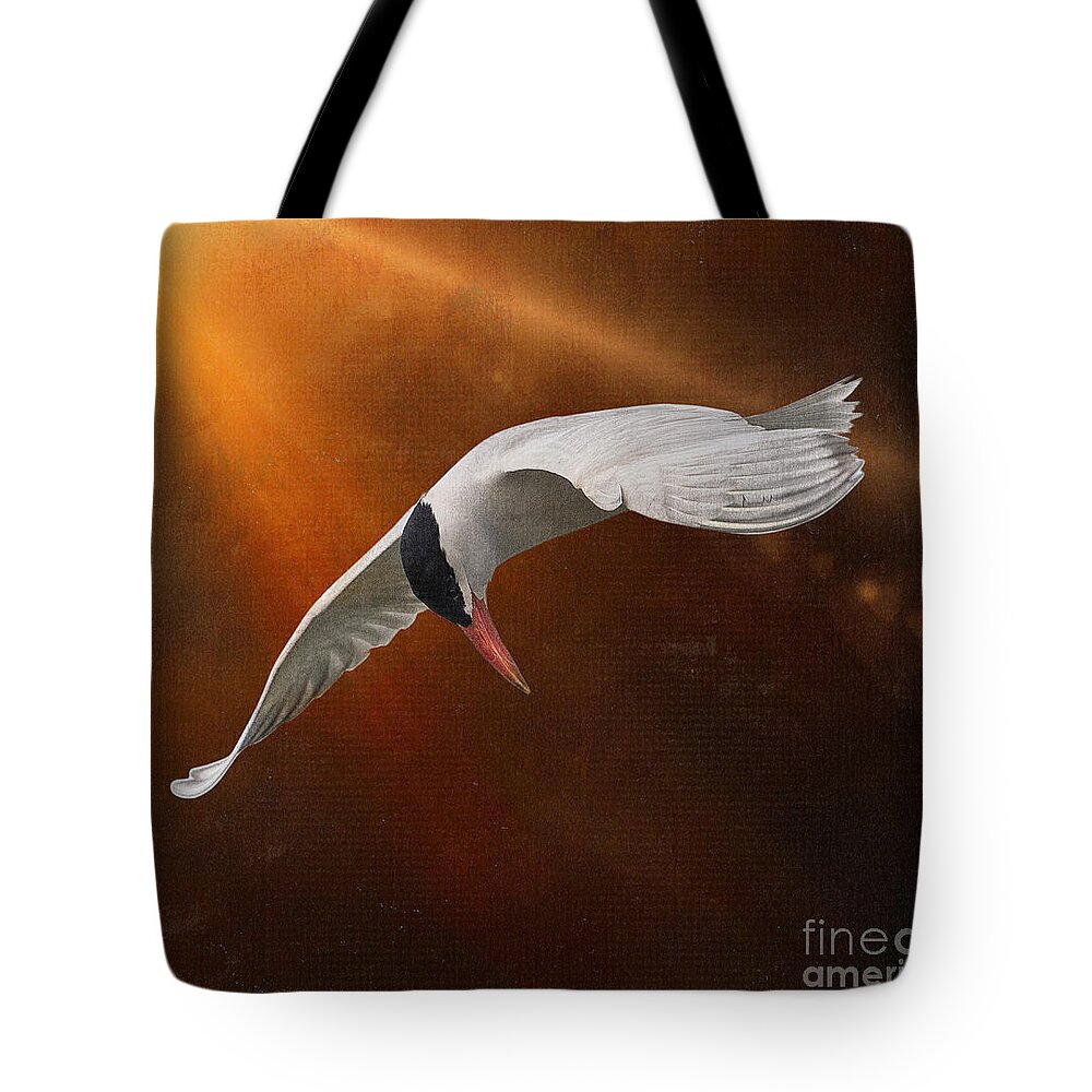 Caspian Tern Tote Bag featuring the photograph Terned Into Art by Sandra Rust