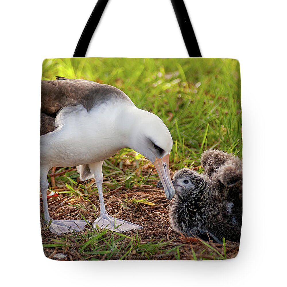Kauai Tote Bag featuring the photograph Testing the Wings out. by Doug Davidson