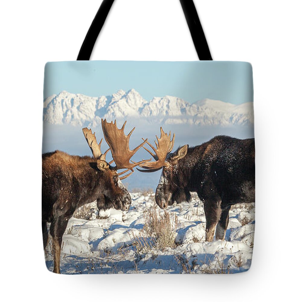 Jon Tote Bag featuring the photograph Teton Heavyweights by Kevin Dietrich