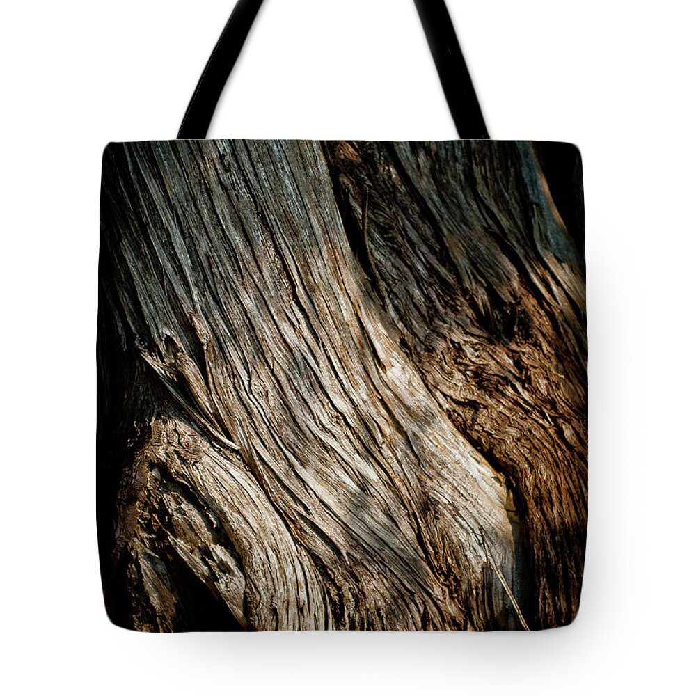Tree Tote Bag featuring the photograph Texture of Wood by Rich S
