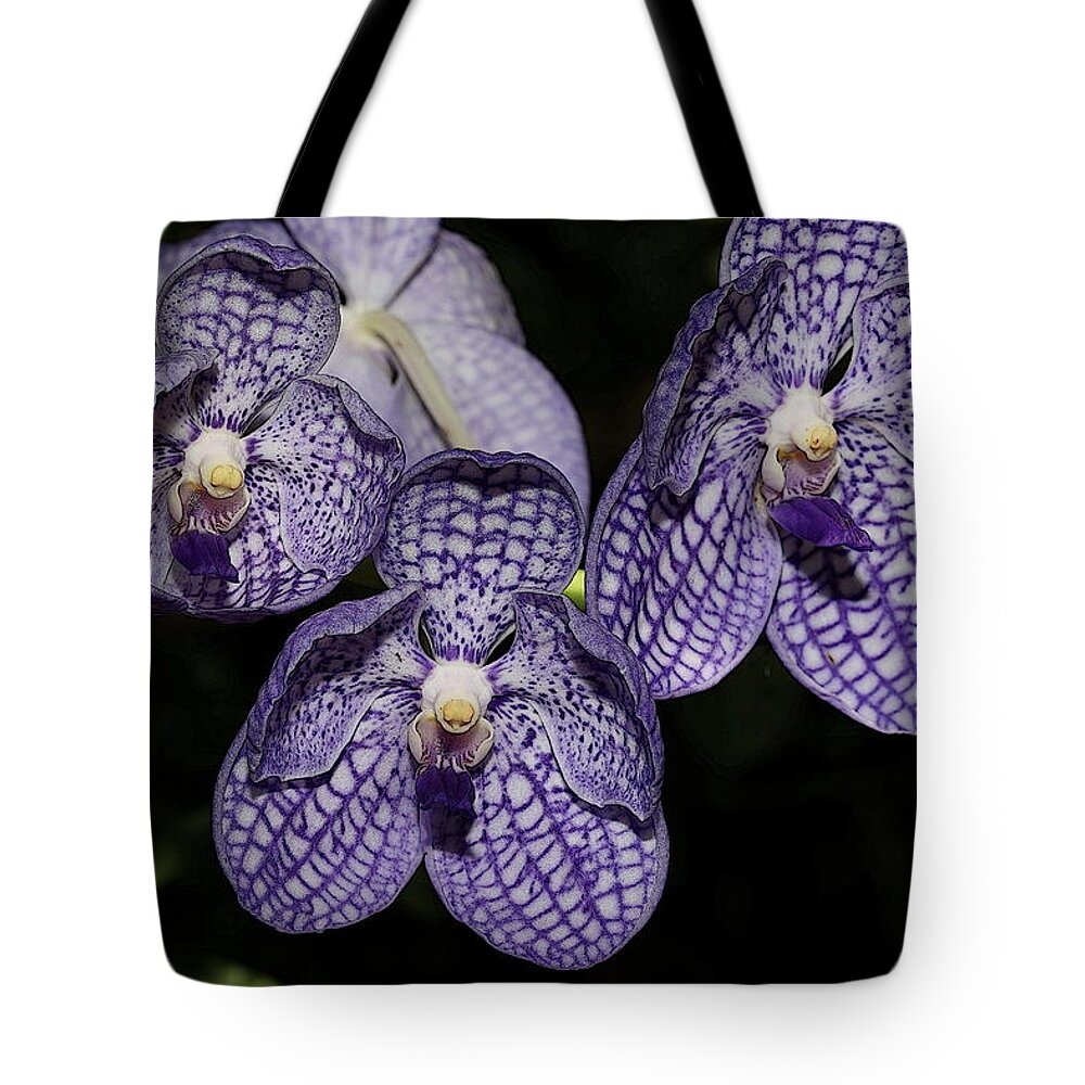 Orchid Tote Bag featuring the photograph Textured Orchid Flowers 2 by Mingming Jiang