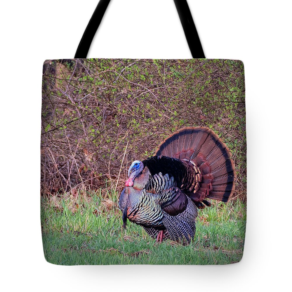Turkey Tote Bag featuring the photograph Thanksgiving Turkey by Bill Wakeley