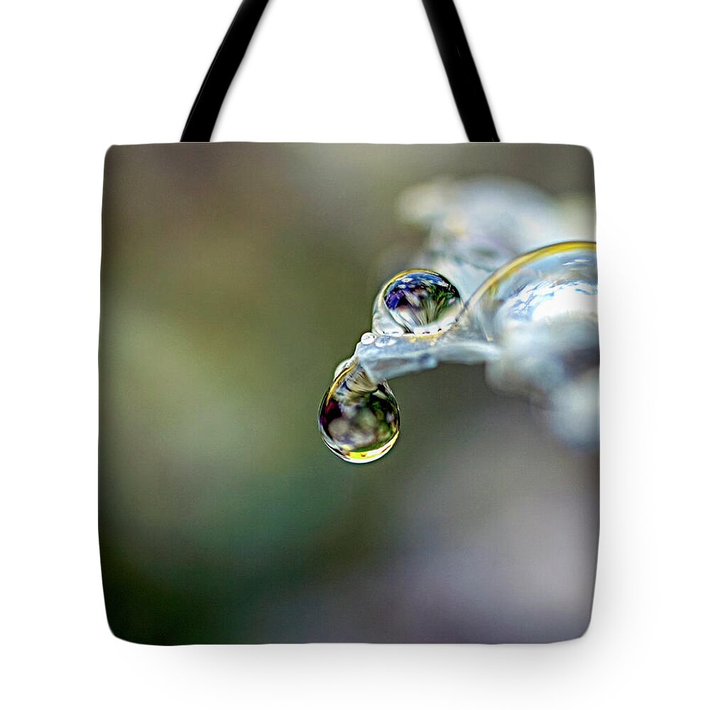 Dew Tote Bag featuring the photograph The Balance by Joe Schofield