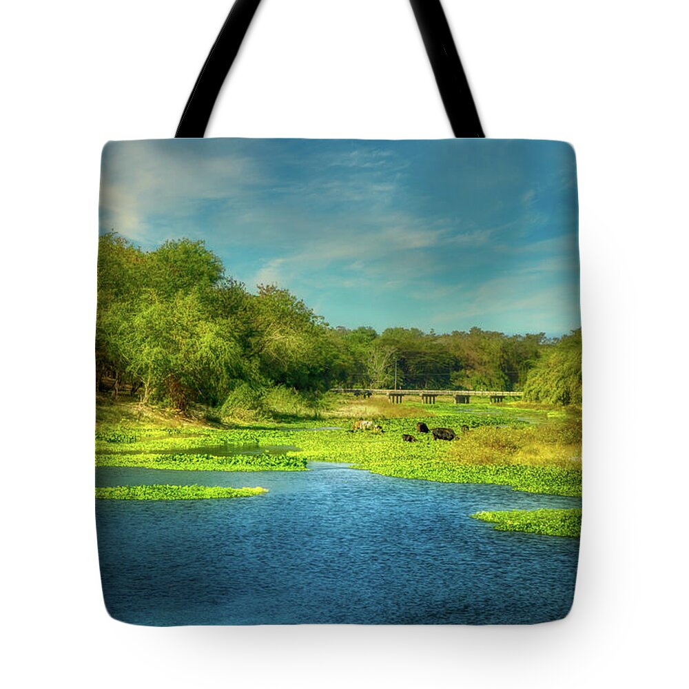 Bayamo Tote Bag featuring the photograph The Bayamo River by Micah Offman