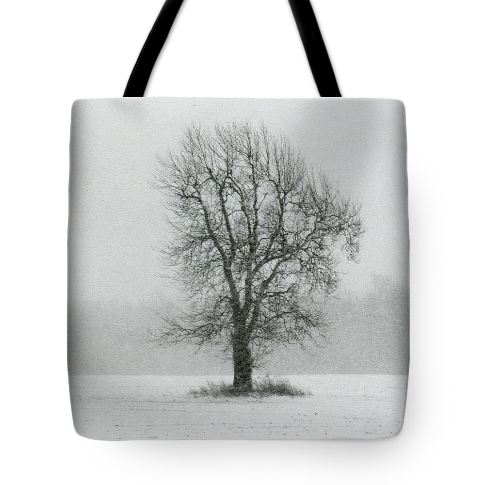 Snow Tote Bag featuring the photograph The Beauty of Solitude 1 by Carrie Ann Grippo-Pike