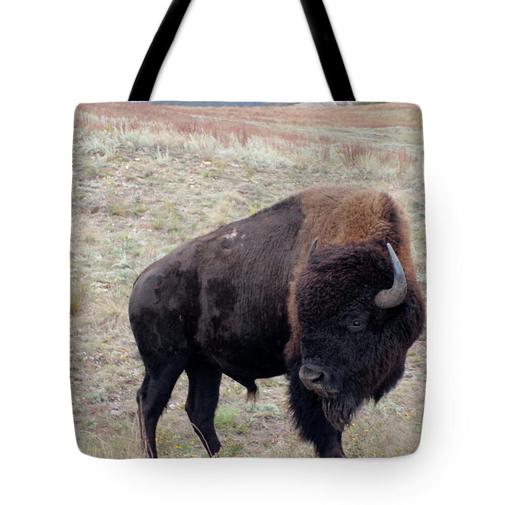  Tote Bag featuring the photograph The Beauty of the Wild Bison by Barbie Batson