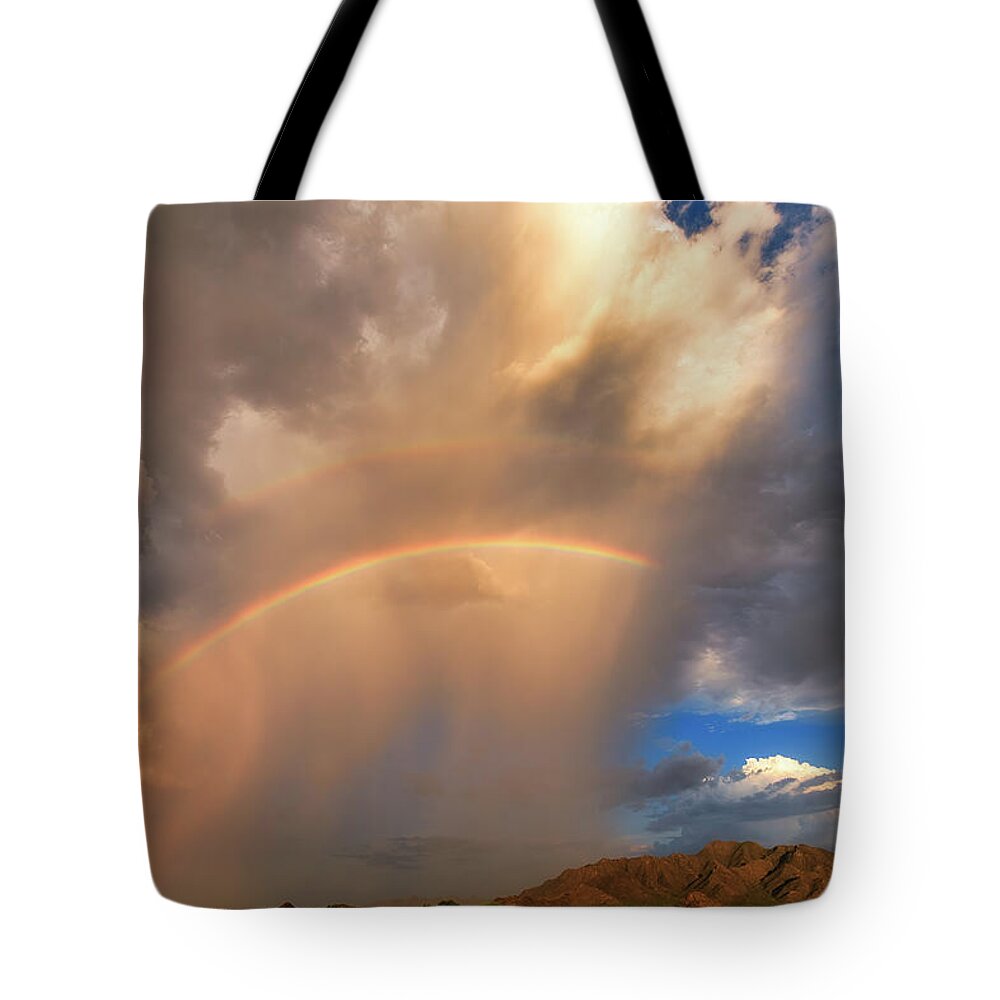 Ark Tote Bag featuring the photograph The Big Picture by Rick Furmanek