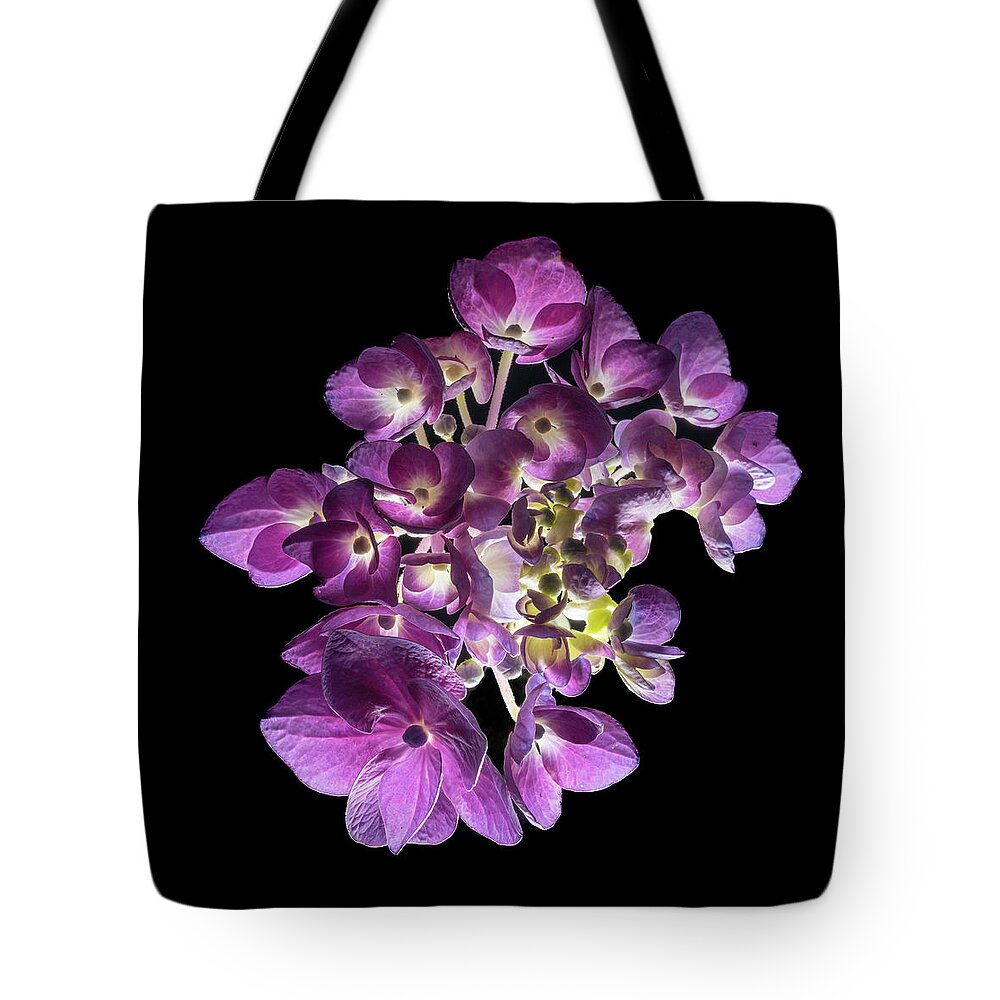 Bigleaf Hydrangea Tote Bag featuring the photograph Finale in Purple by Kevin Suttlehan