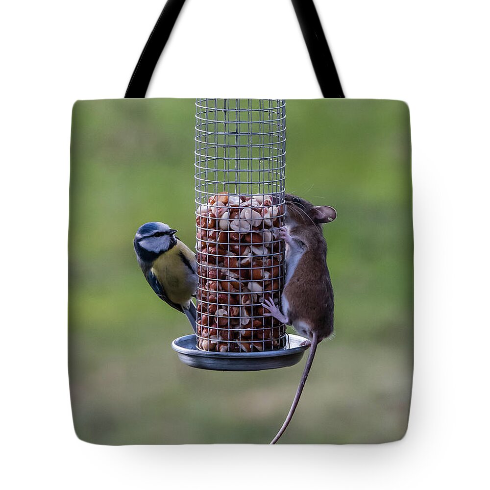 Bird Tote Bag featuring the photograph The Bird and Mice Feeder by Torbjorn Swenelius