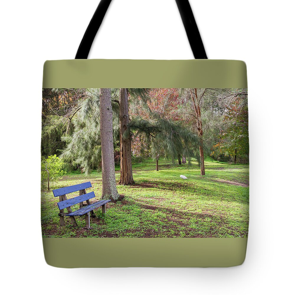 Garden Tote Bag featuring the photograph The Blue Bench Seat by Elaine Teague