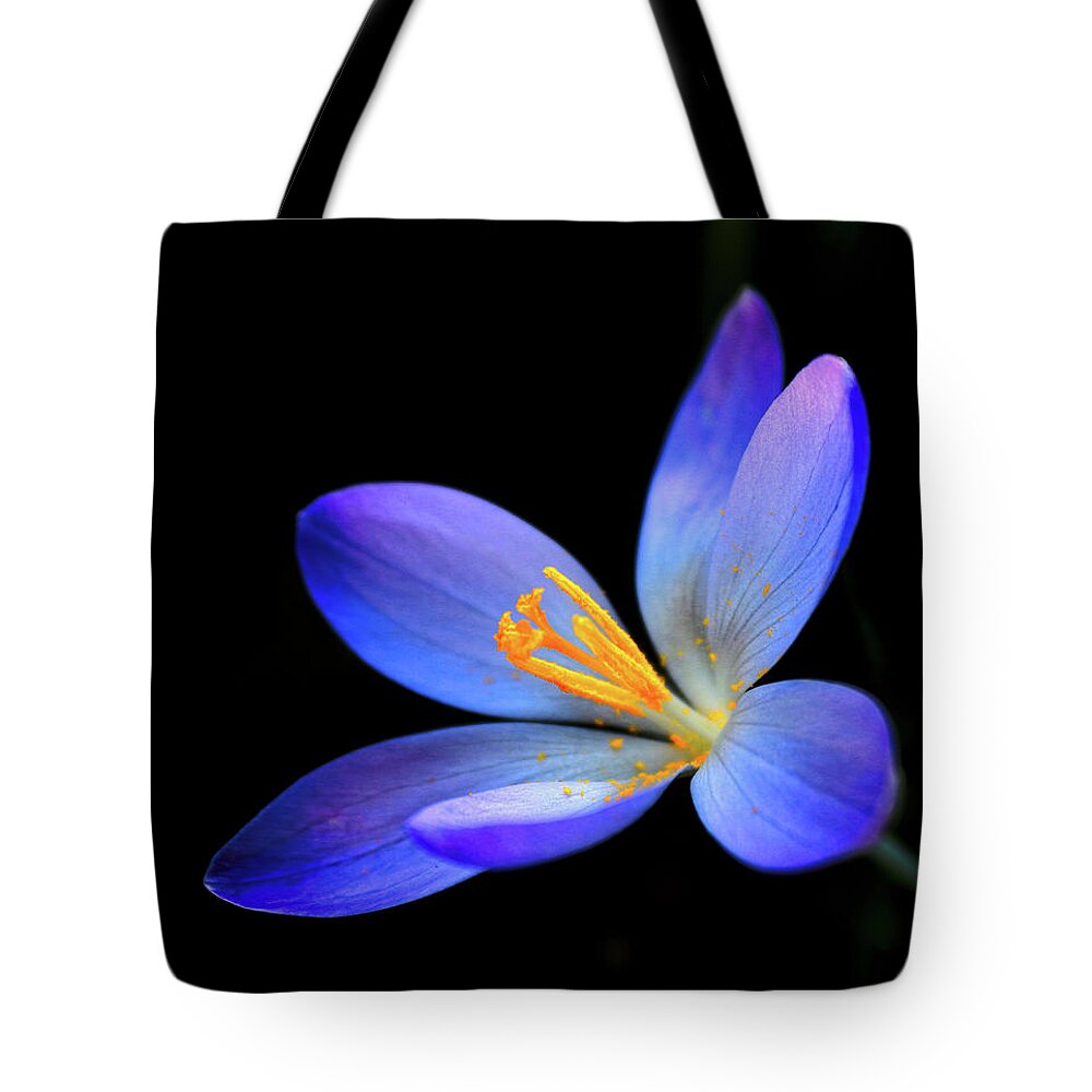 Flower Tote Bag featuring the photograph The blue crocus by MPhotographer