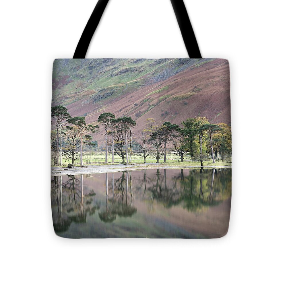 Cumbria Tote Bag featuring the photograph The Buttermere Pines, Lake District, England, UK by Sarah Howard