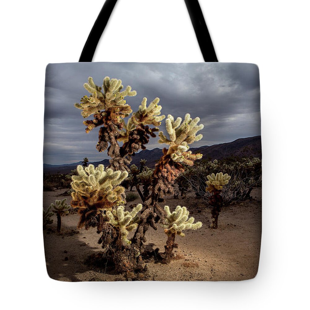 Joshua Tree National Park Tote Bag featuring the photograph The Cholla Garden by Joseph Philipson
