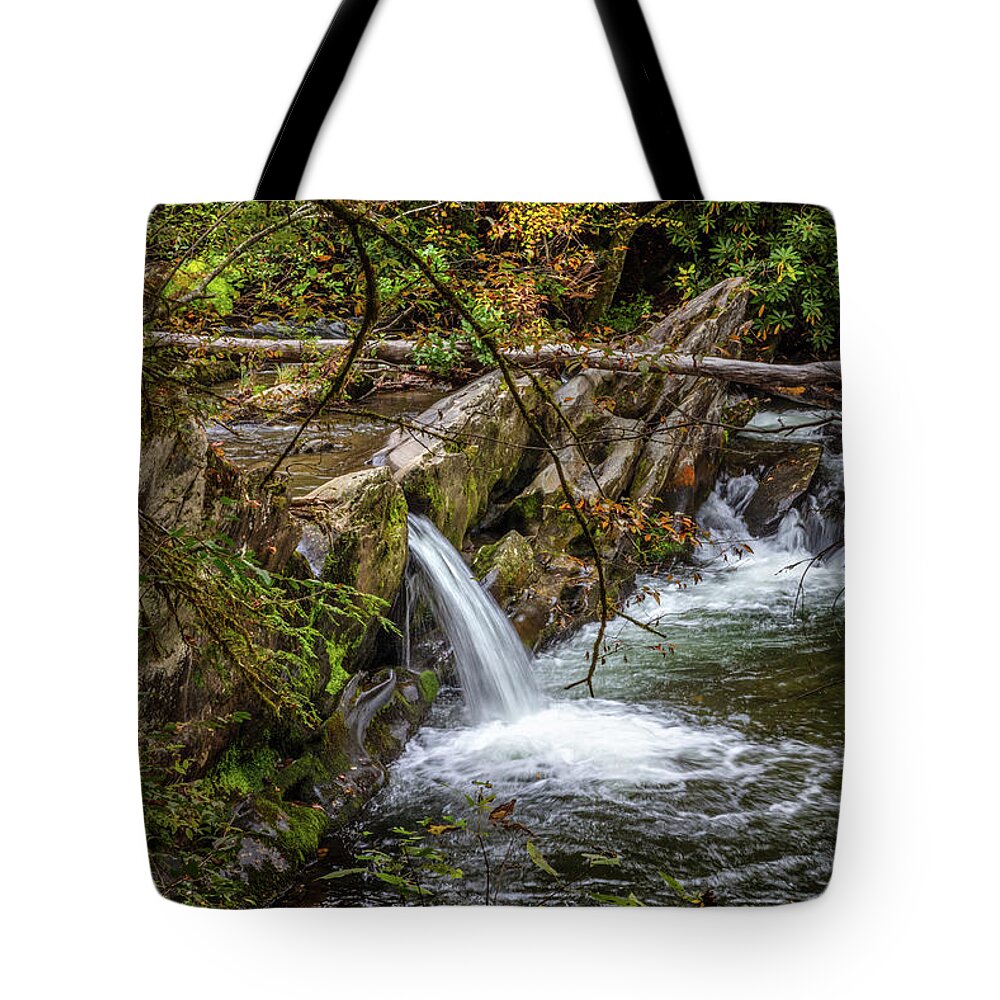 Carolina Tote Bag featuring the photograph The Colors of Fall Smoky Mountain Waterfall by Debra and Dave Vanderlaan