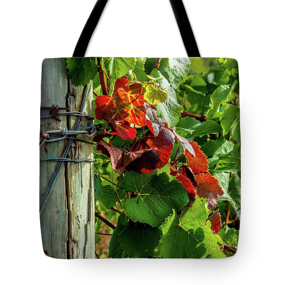 Farm Tote Bag featuring the photograph The colors of autumn by Leslie Struxness