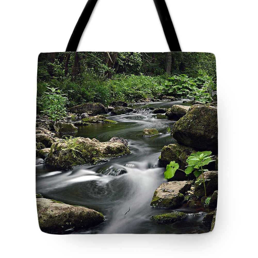 Wasser Tote Bag featuring the photograph The Creek by Thomas Schroeder