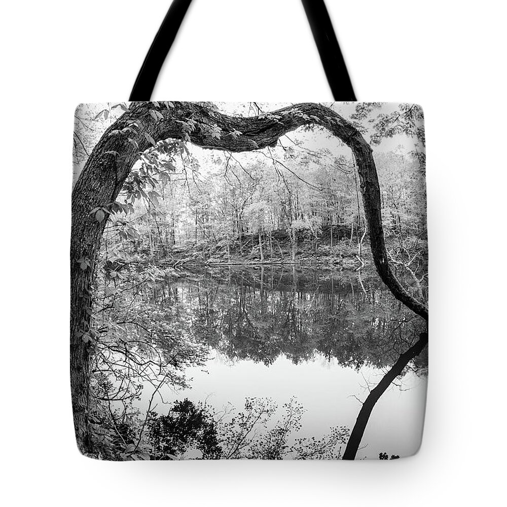 Water Tote Bag featuring the photograph The Crooked Tree in Black and White by Kyle Lee