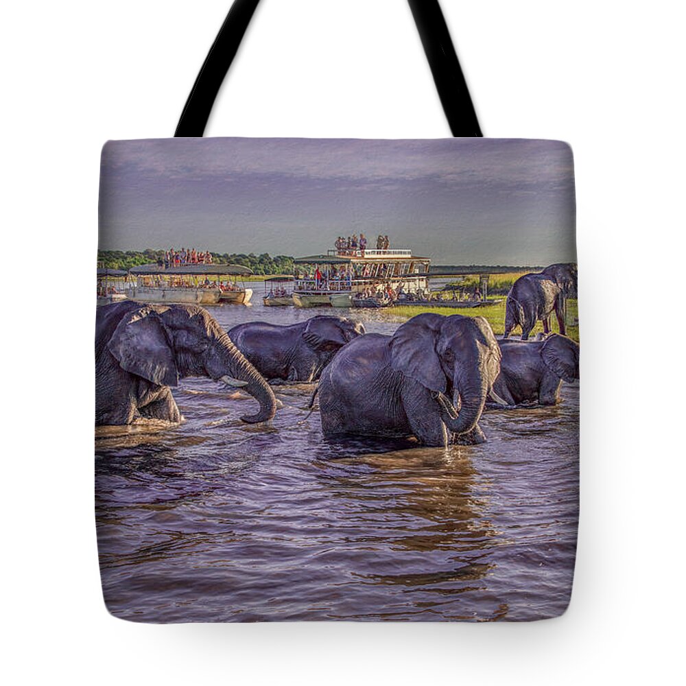 Chobe National Park Tote Bag featuring the photograph The Crossing by Marcy Wielfaert