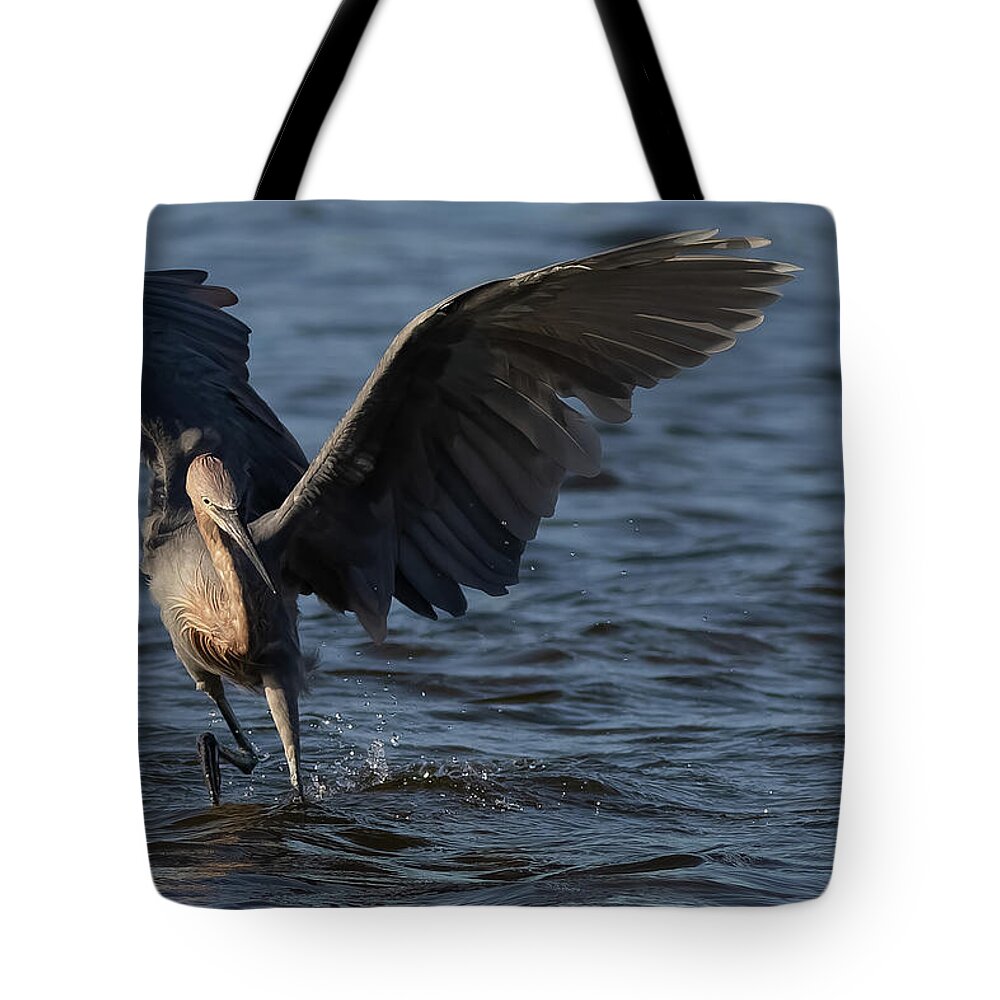 Reddish Egret Tote Bag featuring the photograph The Dance 2 by RD Allen