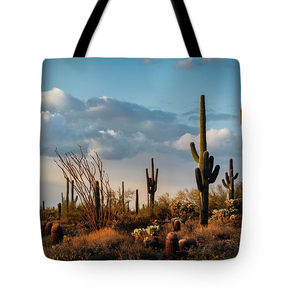 Arizona Tote Bag featuring the photograph The Desert After The Rain by Saija Lehtonen