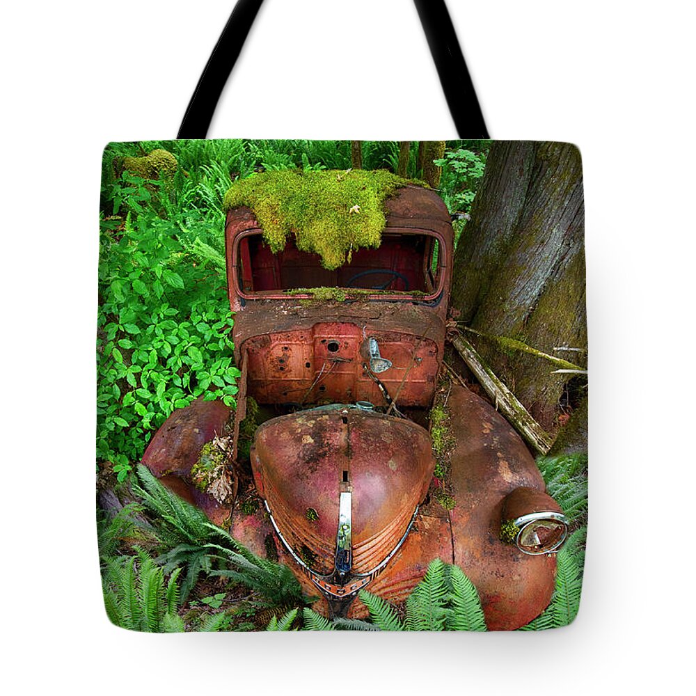 Disappear Tote Bag featuring the photograph The Disappearing Act by Bob Christopher