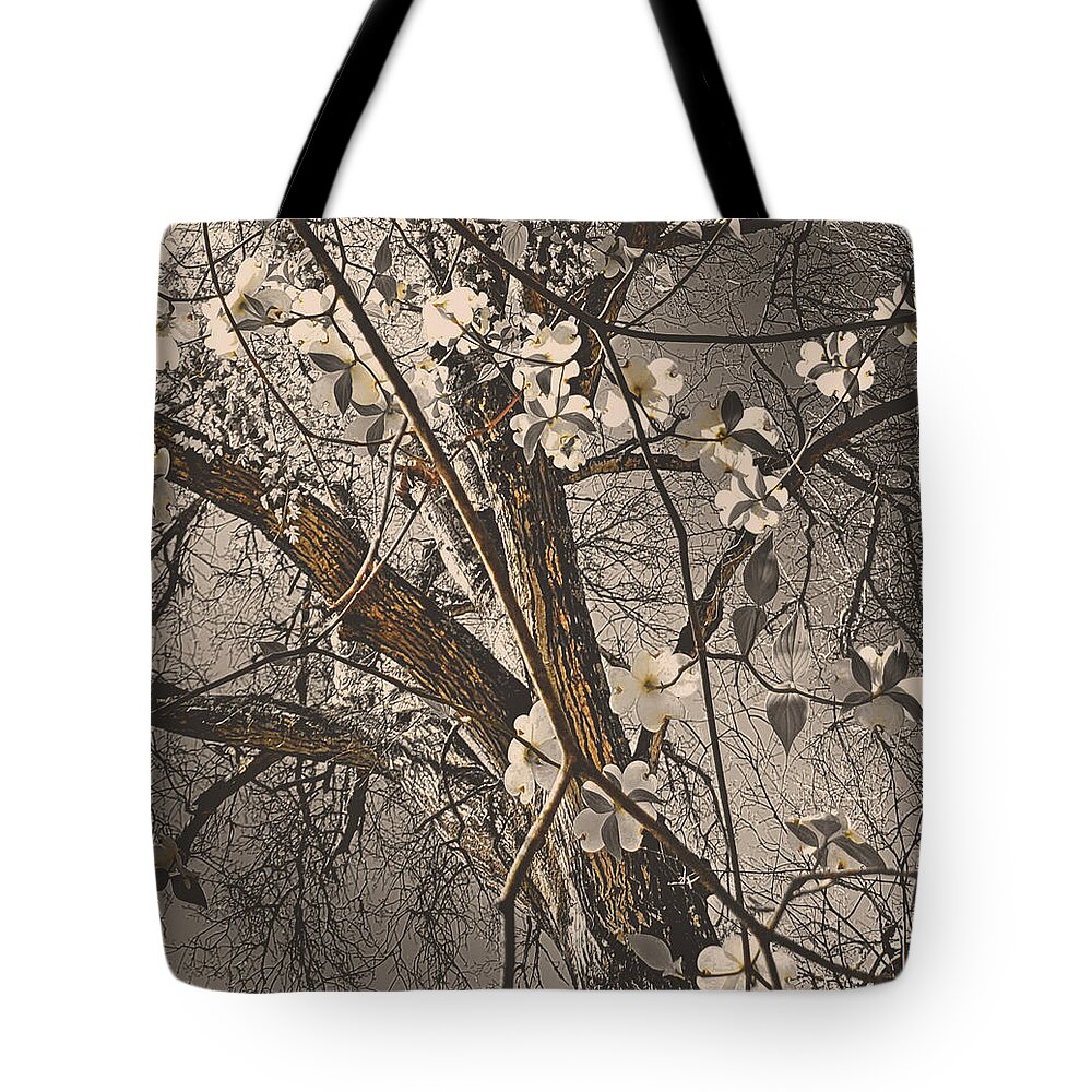 Dogwood Tote Bag featuring the photograph The Dogwoods of Spring by Amanda Smith