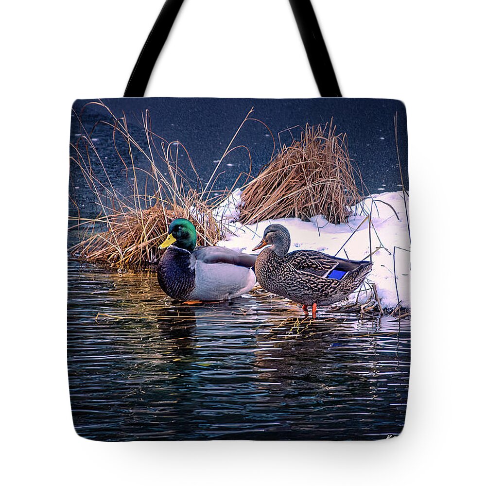 Bird Tote Bag featuring the photograph The Drake and the Hen by Ken Morris