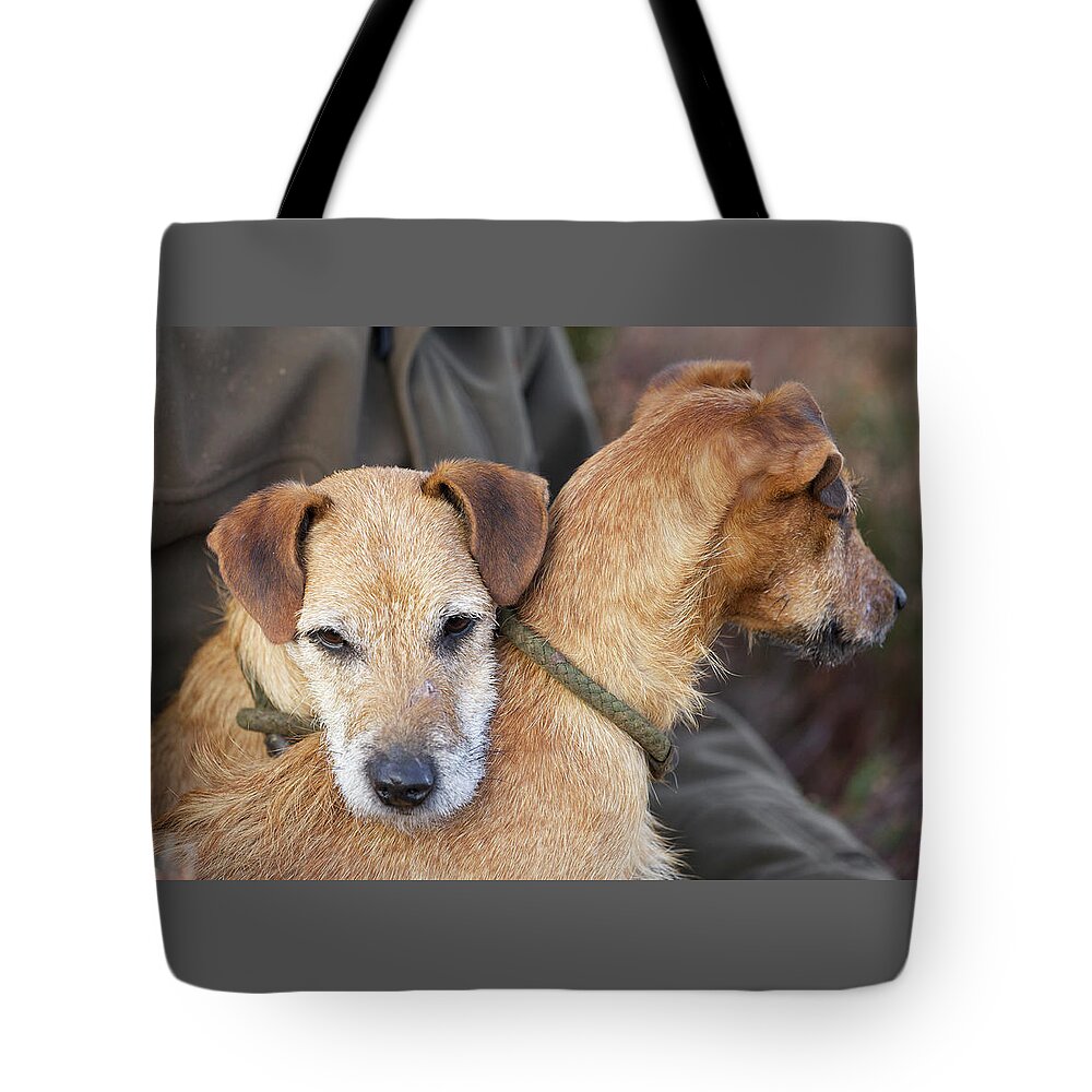 Hunting Tote Bag featuring the photograph The Dreamers by Mark Egerton