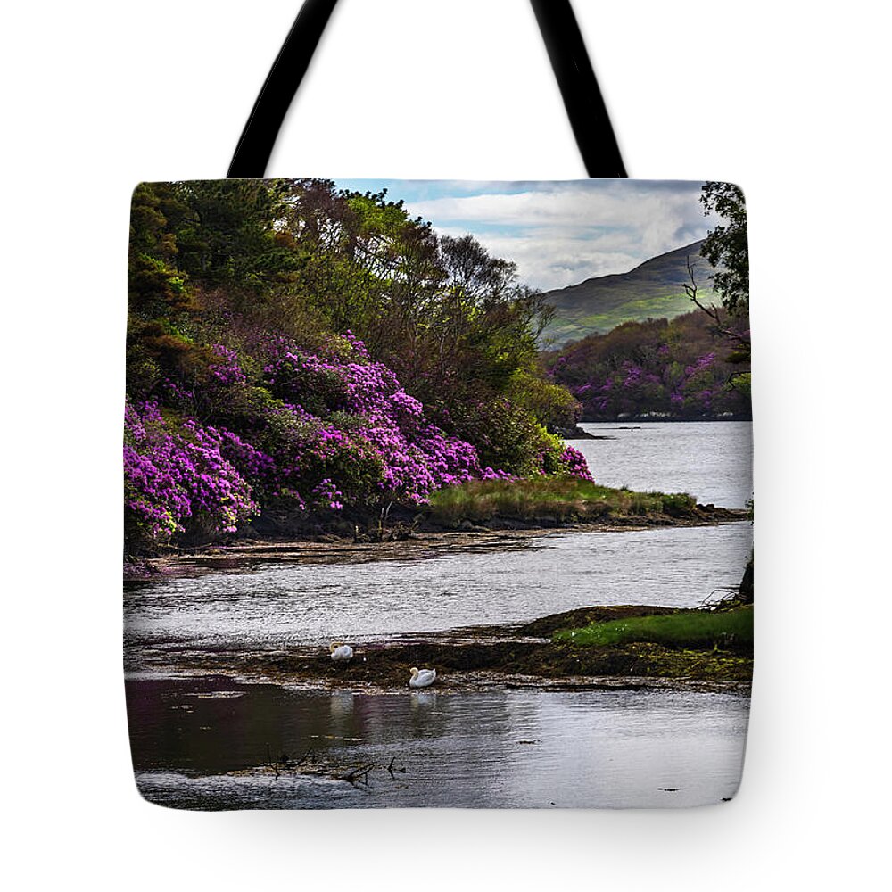 Landscape Tote Bag featuring the photograph The Dunboy Swans by Catherine Sullivan