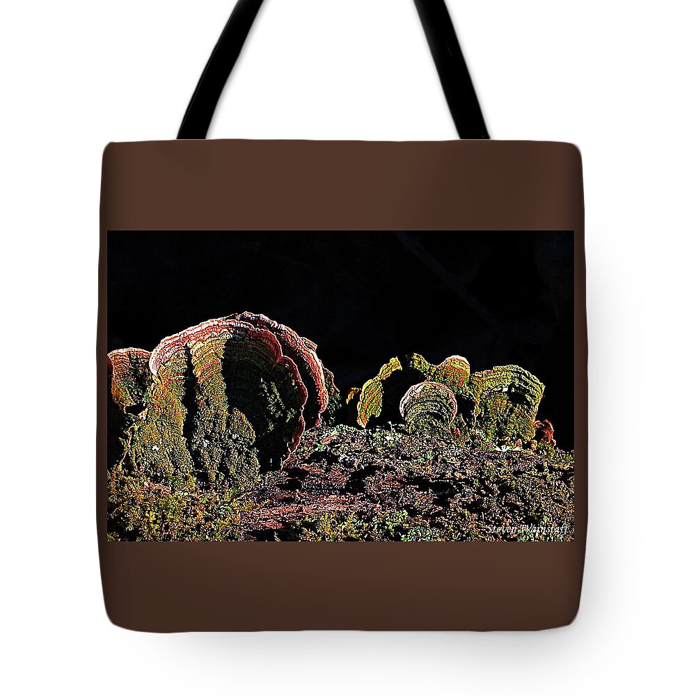 Fungi Tote Bag featuring the photograph The Familia by Steve Warnstaff