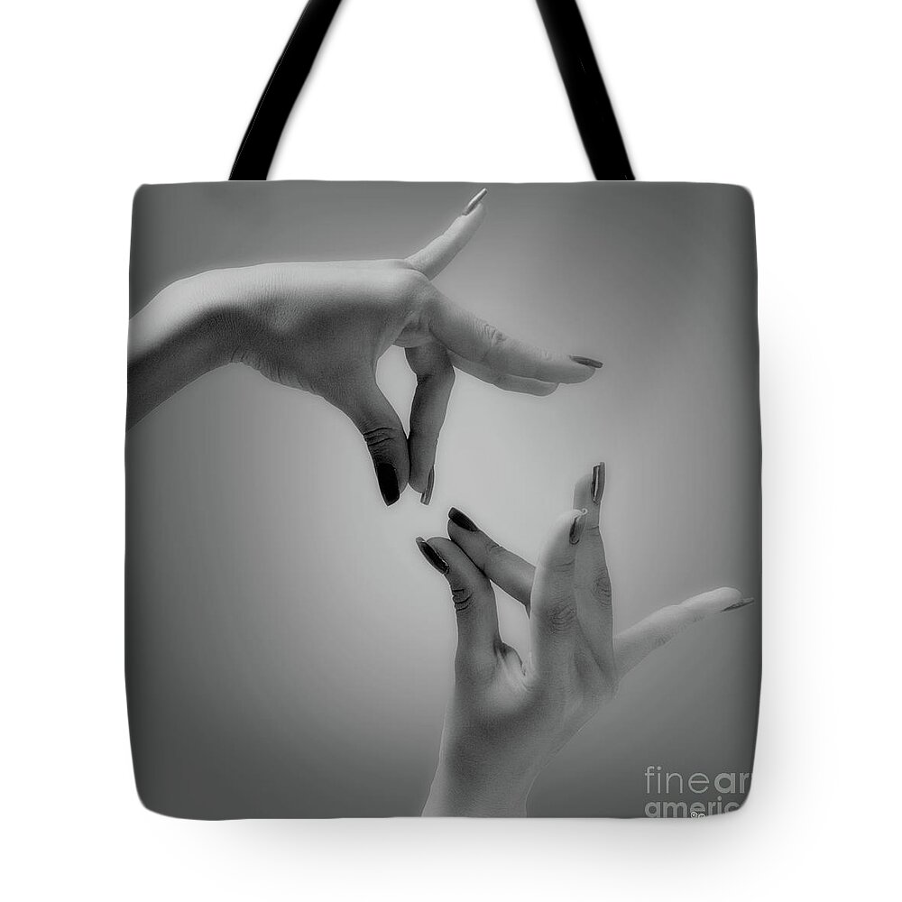 Bw Tote Bag featuring the photograph The Feed by Marc Nader