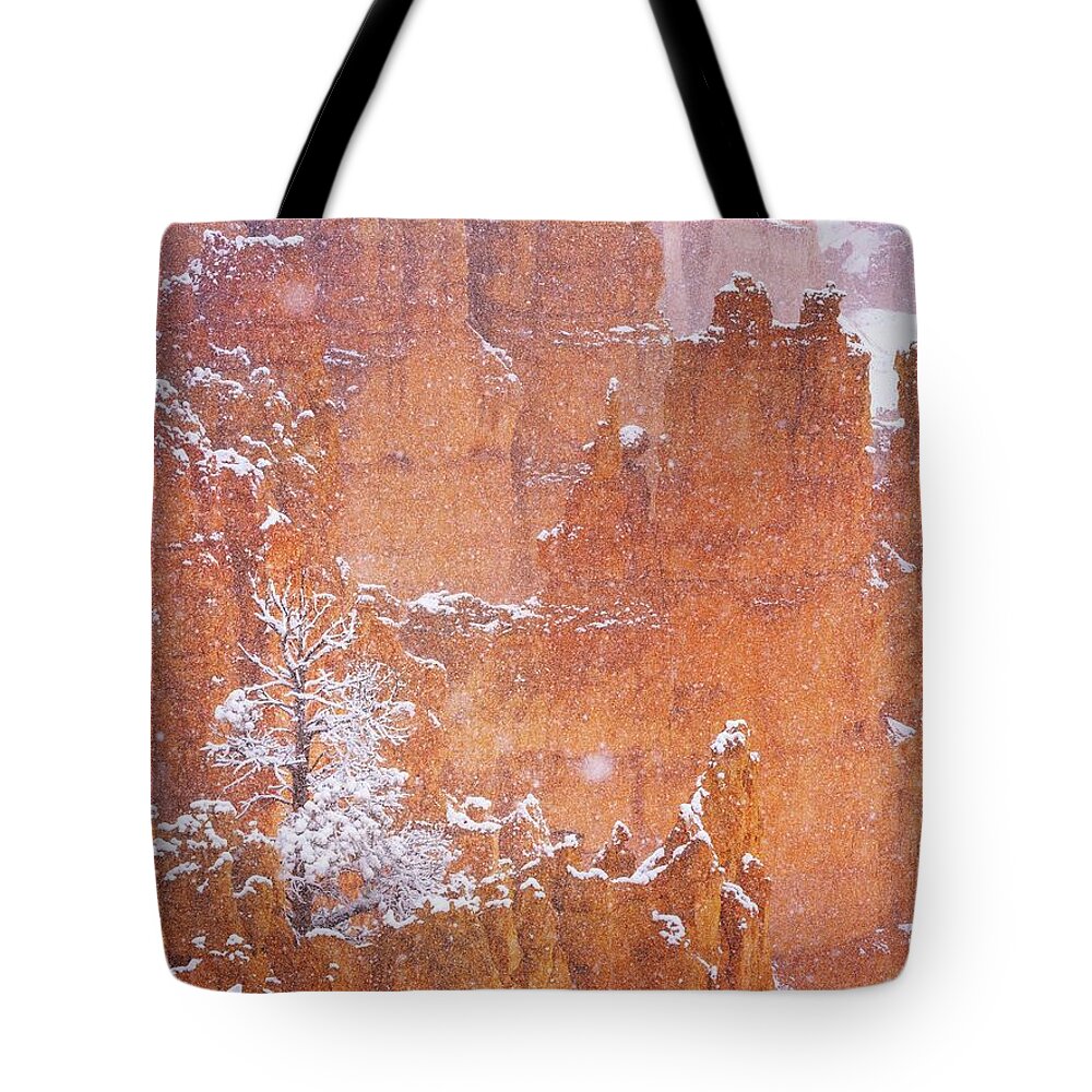 2022 Tote Bag featuring the photograph The first Snow by Edgars Erglis