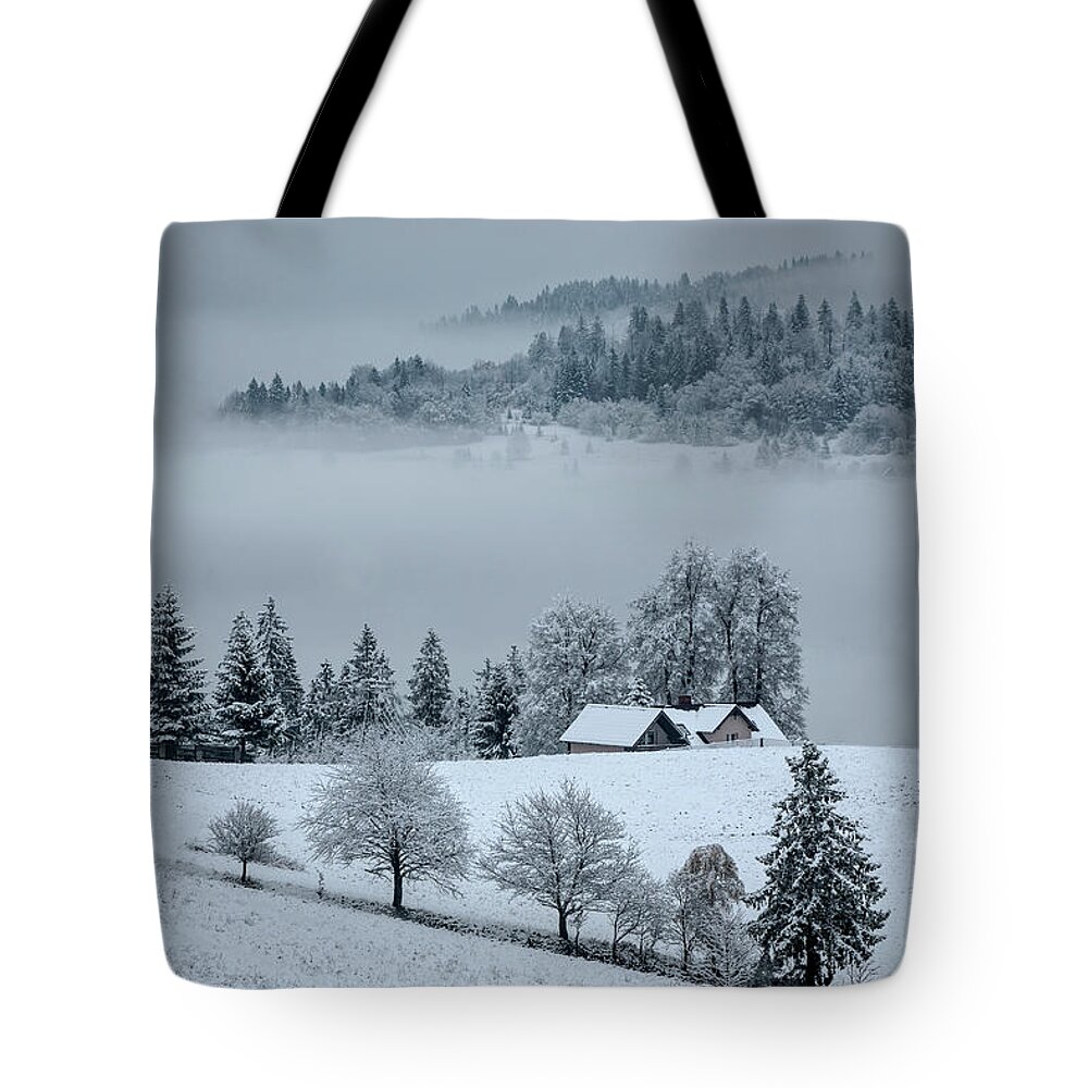 Landscape Tote Bag featuring the photograph The first snow by Jaroslaw Blaminsky