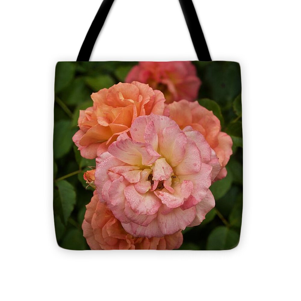 Roses Tote Bag featuring the photograph The Five Roses Greeting Card by Richard Cummings