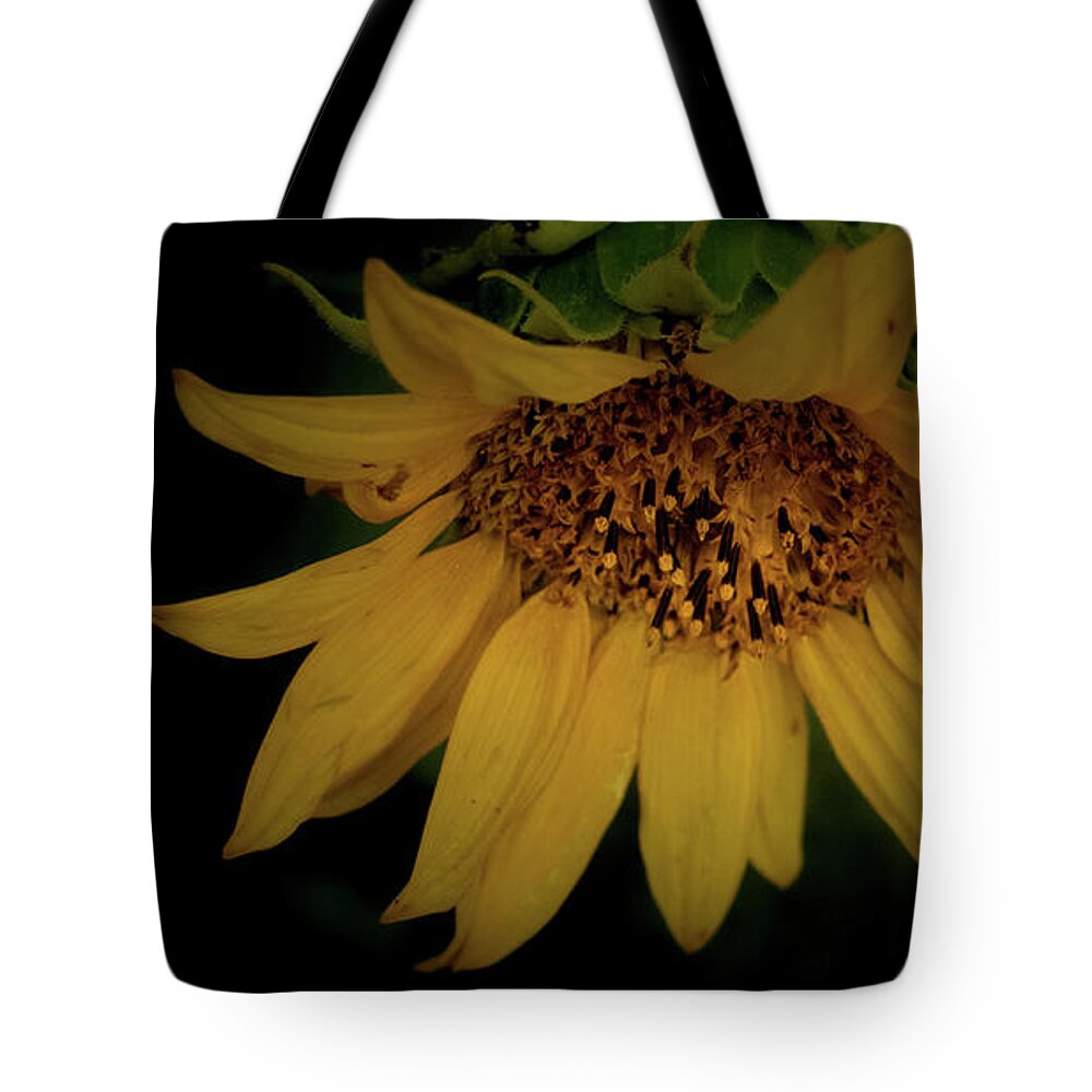 Flower Tote Bag featuring the photograph The Flashy Wild Sunflower by Laura Putman