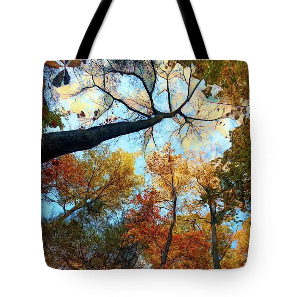 Clouds Tote Bag featuring the photograph The Forest's Embrace Painting by Debra and Dave Vanderlaan
