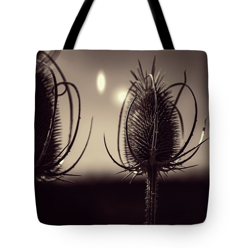 Abstract Tote Bag featuring the photograph The Fuller's Teasel, Central Oregon Monochrome by Jason McPheeters