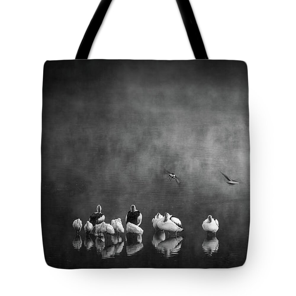 Landscape Tote Bag featuring the photograph The Gathering by Grant Galbraith