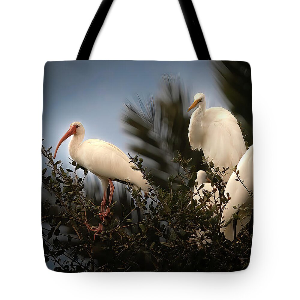 Birds Tote Bag featuring the photograph The Gathering by Larry Marshall