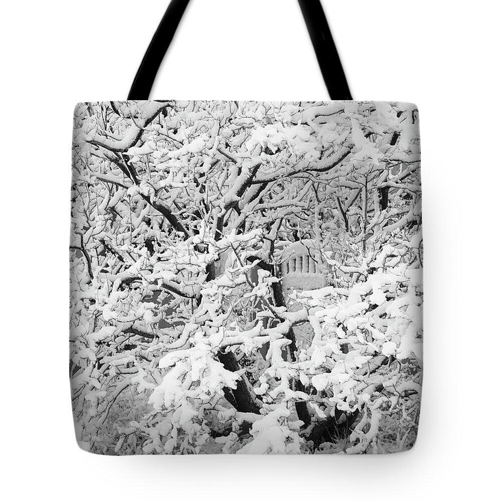 Black And White Tote Bag featuring the photograph The Hidden Gate by Mary Lee Dereske