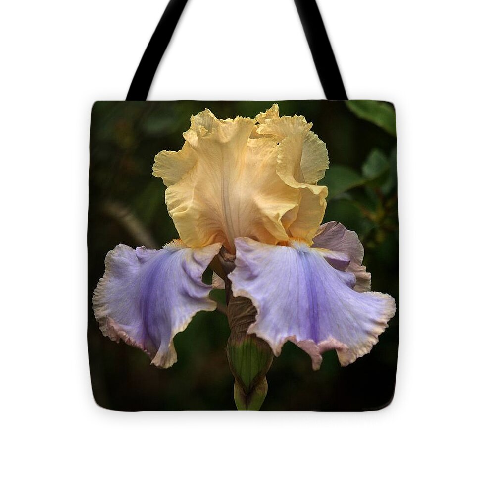 Iris Tote Bag featuring the photograph The Iris by Richard Cummings