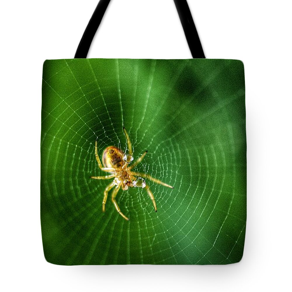 Photo Tote Bag featuring the photograph The Itsy Bitsy Spider by Evan Foster
