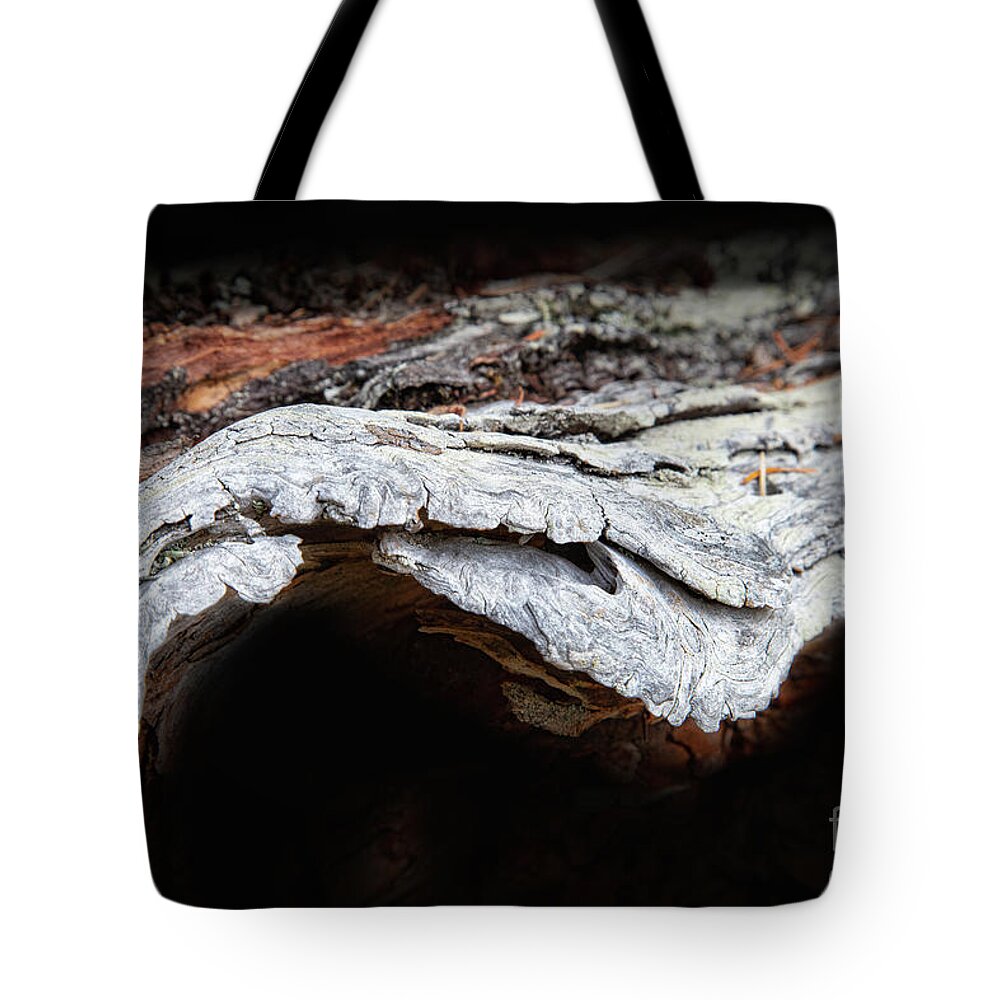 Abstracts Tote Bag featuring the photograph The Journey by Marilyn Cornwell